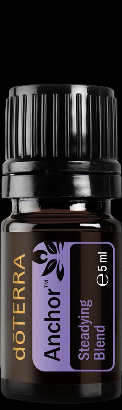 Anchor, official product photo