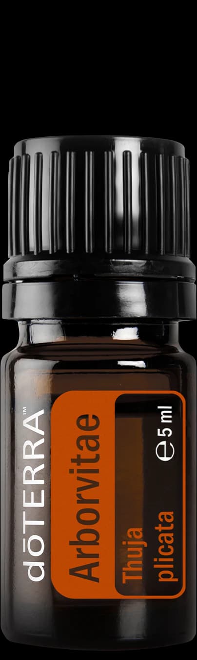 Arborvitae, official product photo