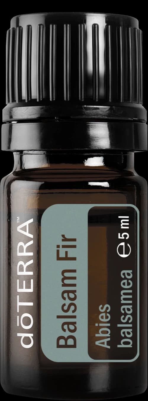 Balsam Fir, official product photo