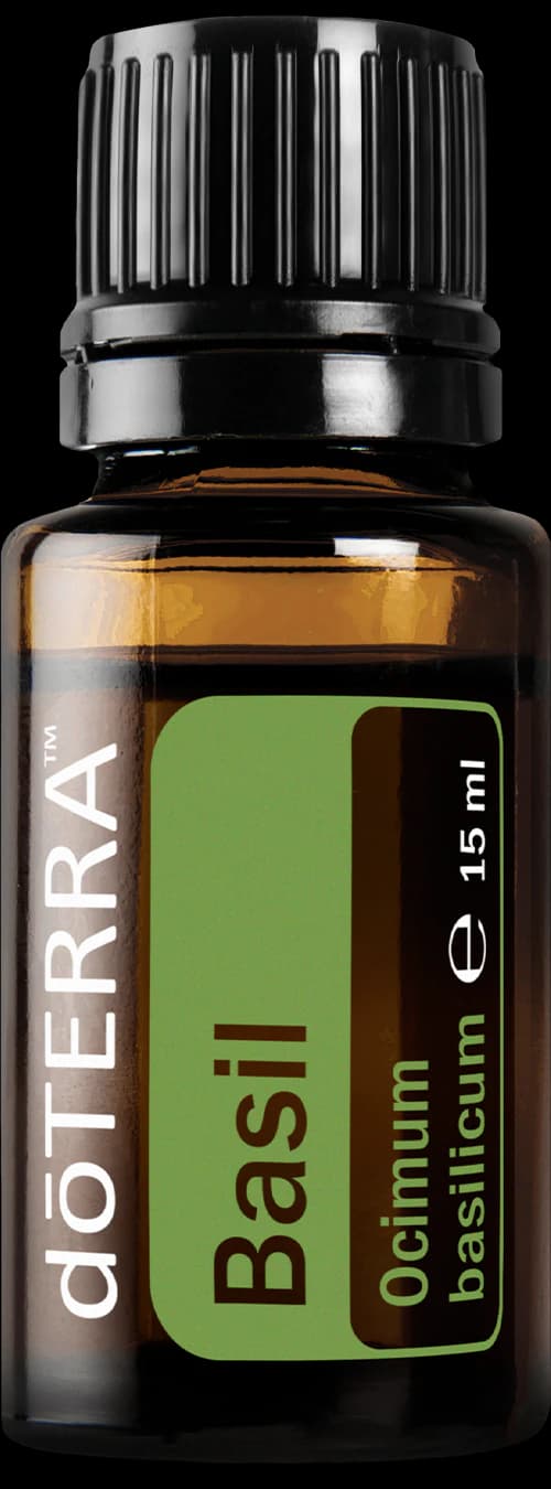 Basil, official product photo
