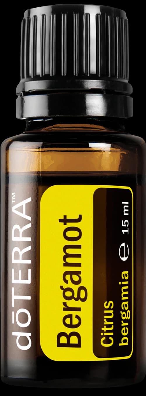 Bergamot, official product photo