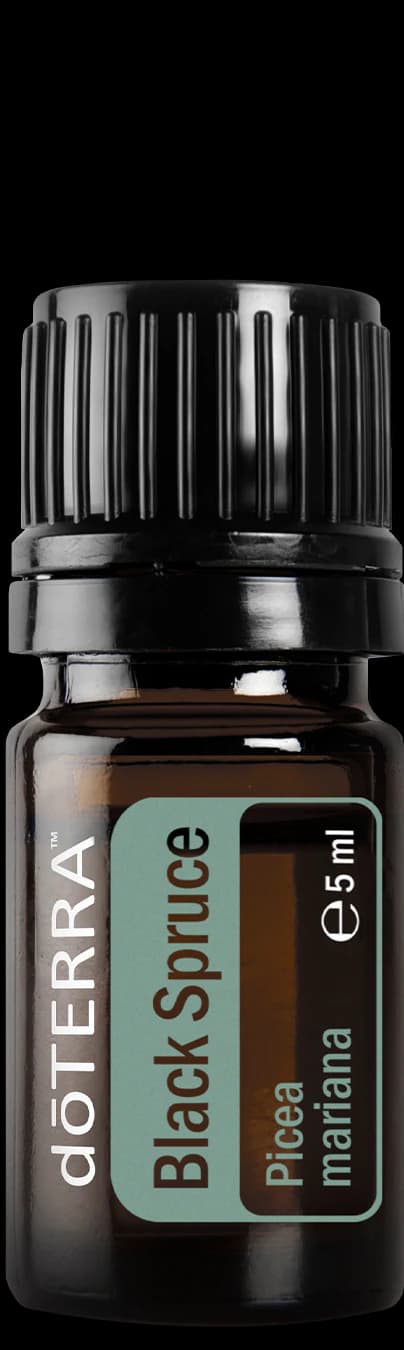 Black Spruce, official product photo