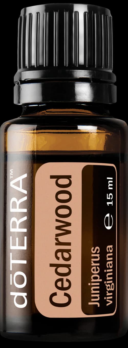 Cedarwood, official product photo