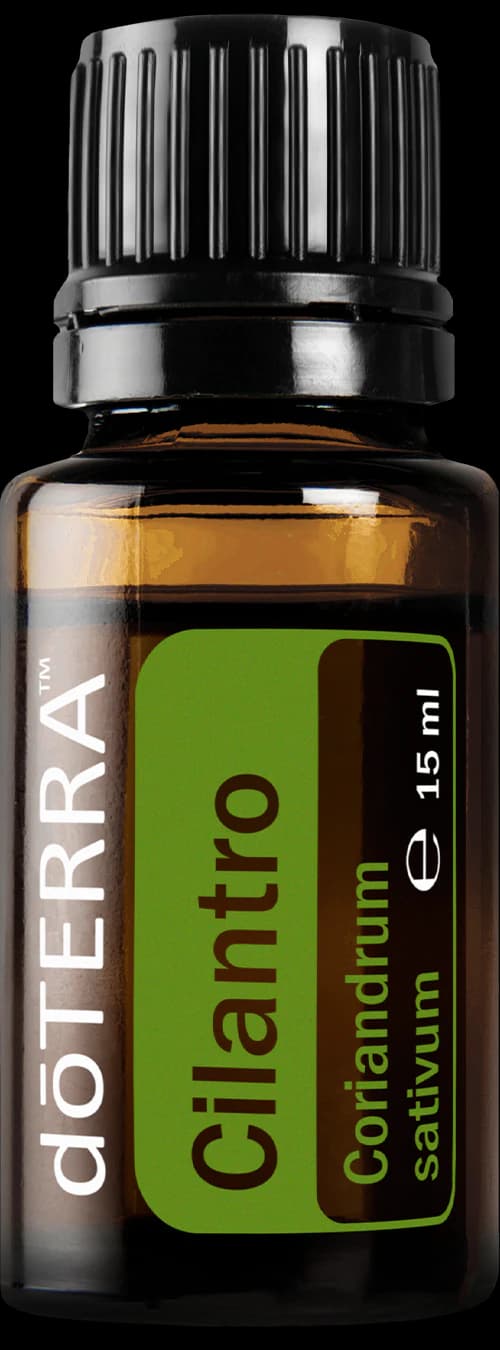 Cilantro, official product photo