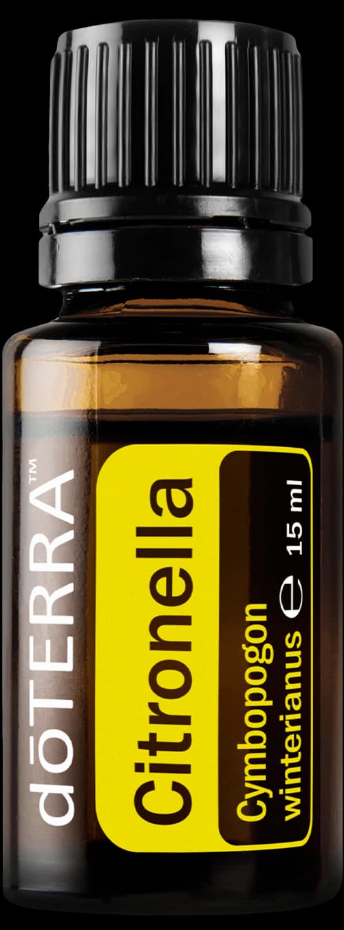 Citronella, official product photo