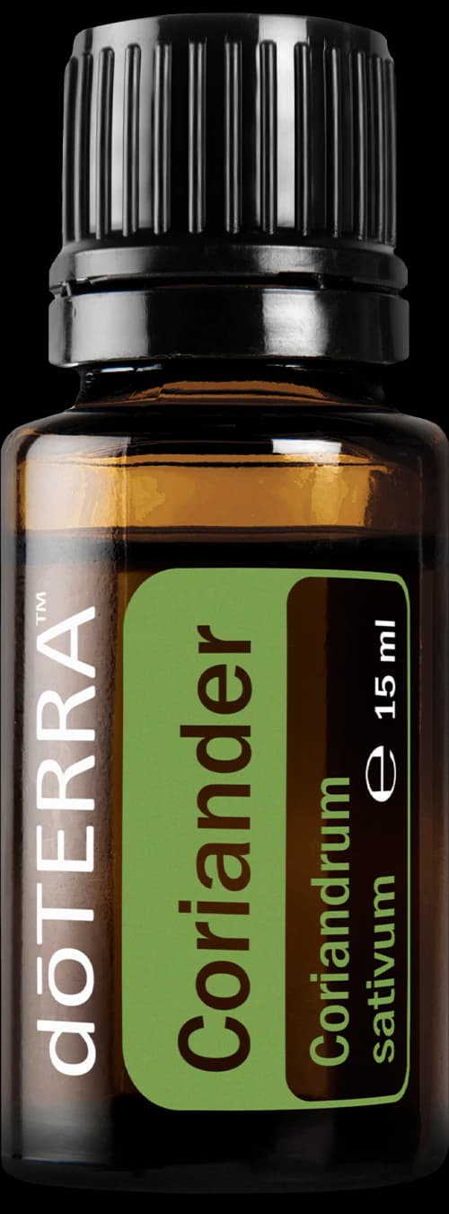 Coriander, official product photo