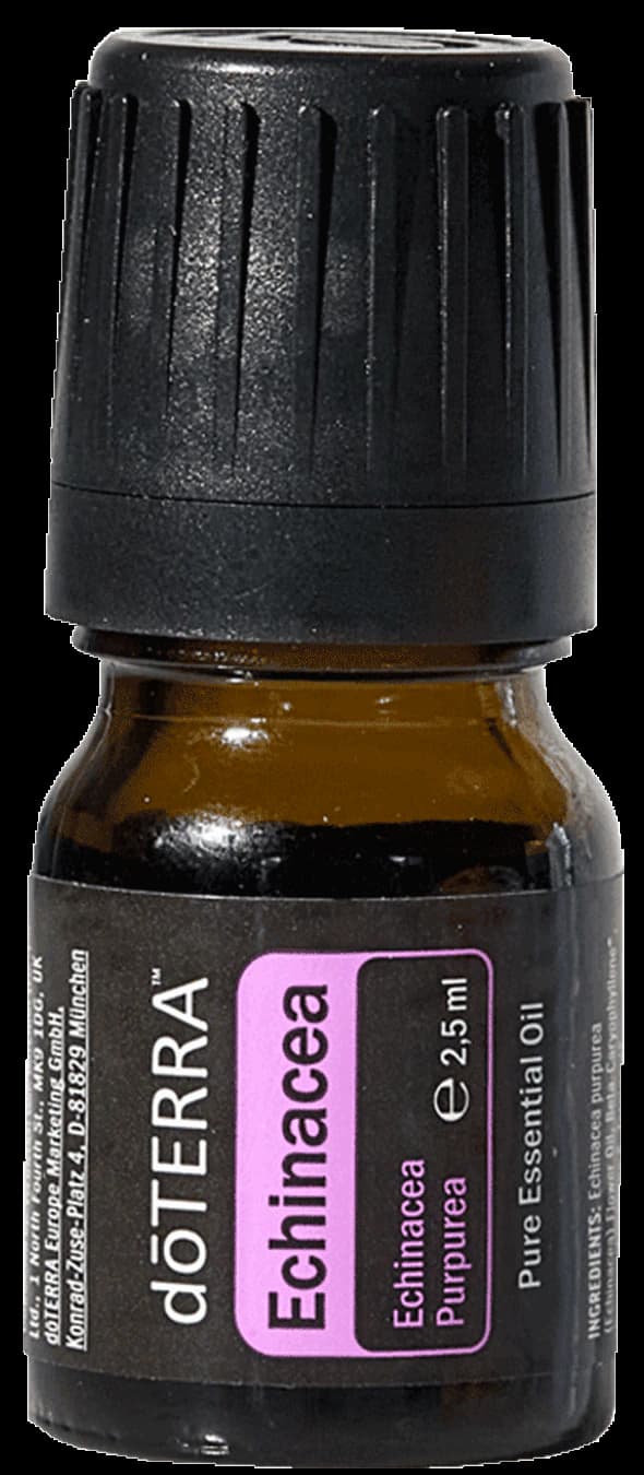 Echinacea, official product photo