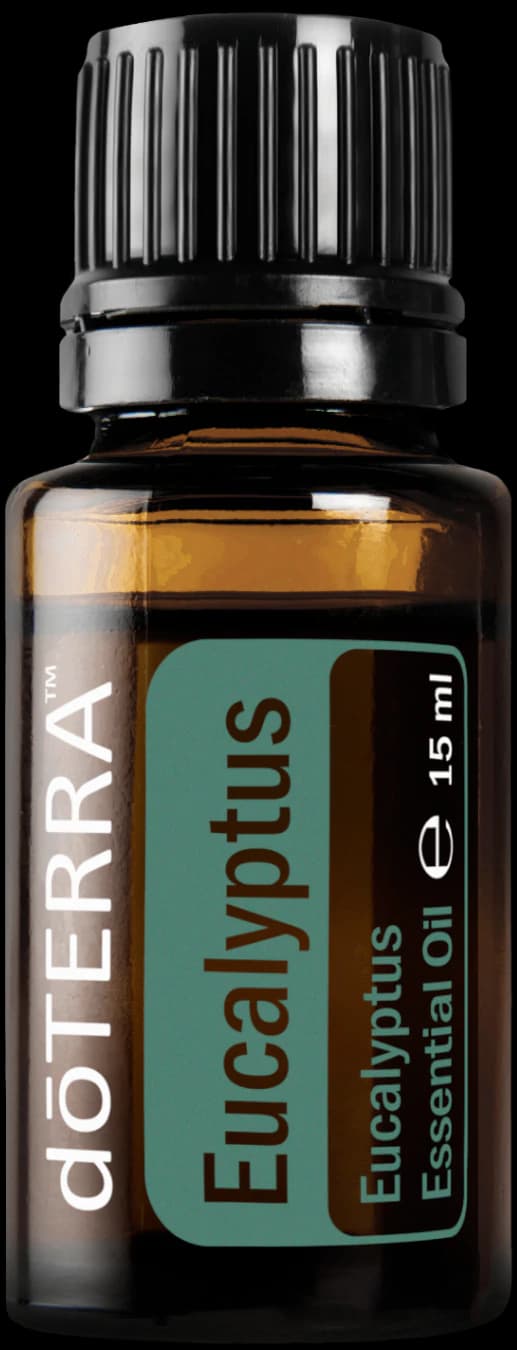 Eucalyptus, official product photo