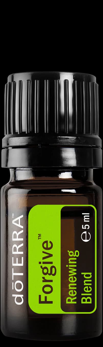 Forgive, official product photo