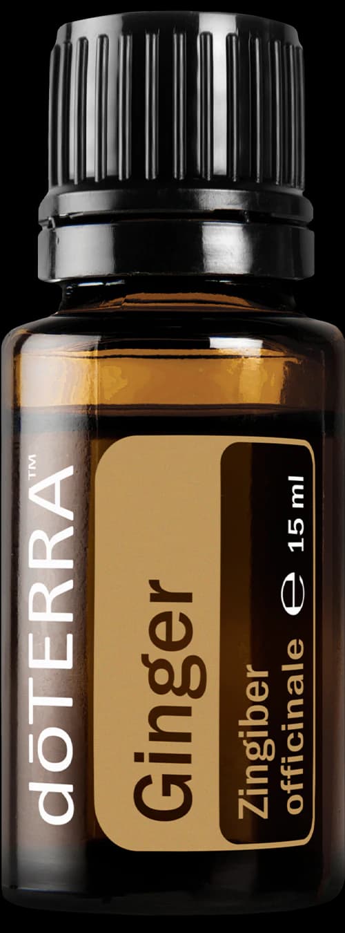 Ginger, official product photo