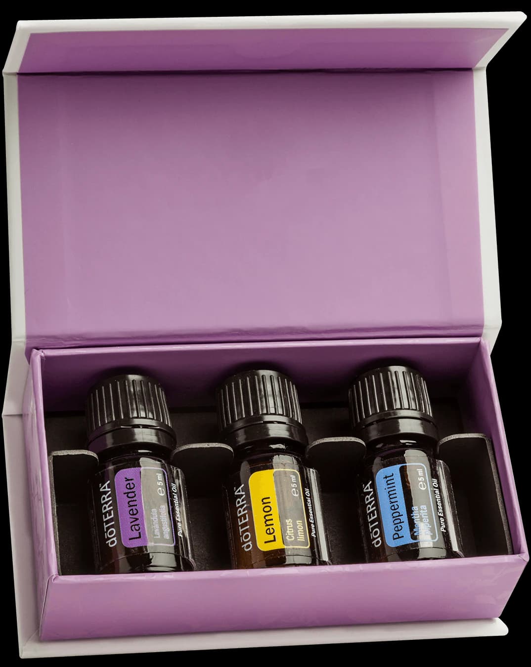 Introductory Kit (6 Pack), official product photo