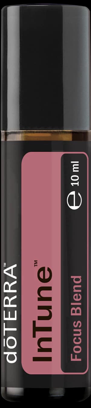 InTune, official product photo