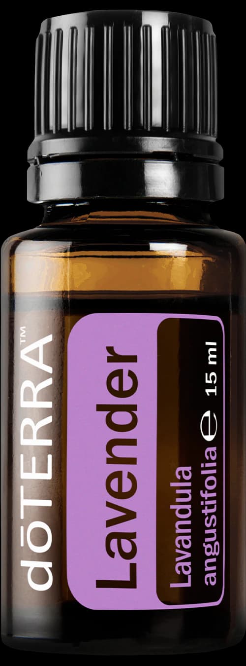 Lavender, official product photo
