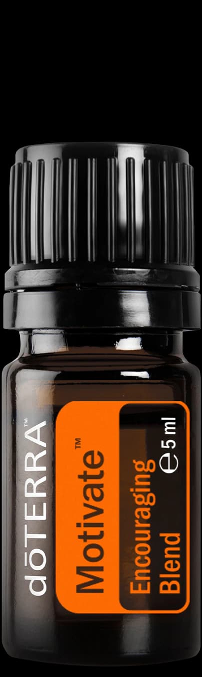 Motivate, official product photo