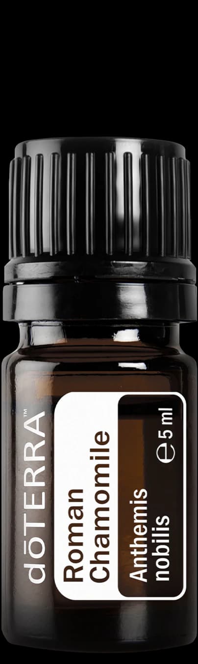 Roman Chamomile, official product photo