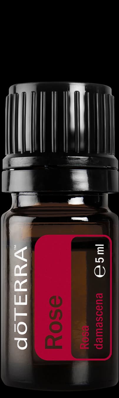 Rose, official product photo