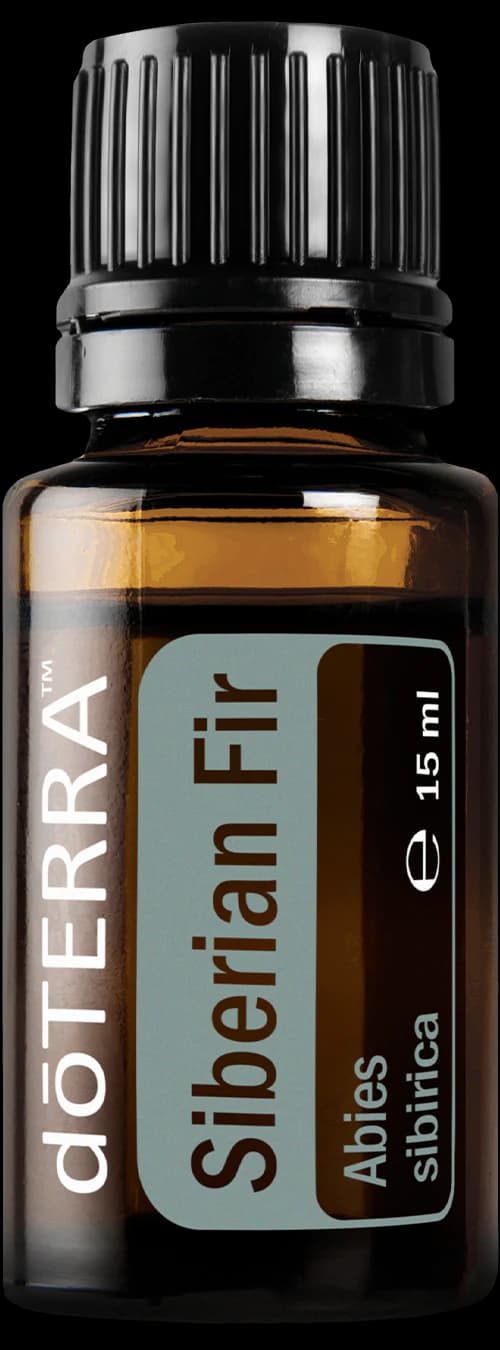 Siberian Fir, official product photo
