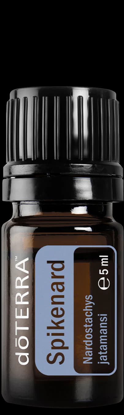 Spikenard, official product photo