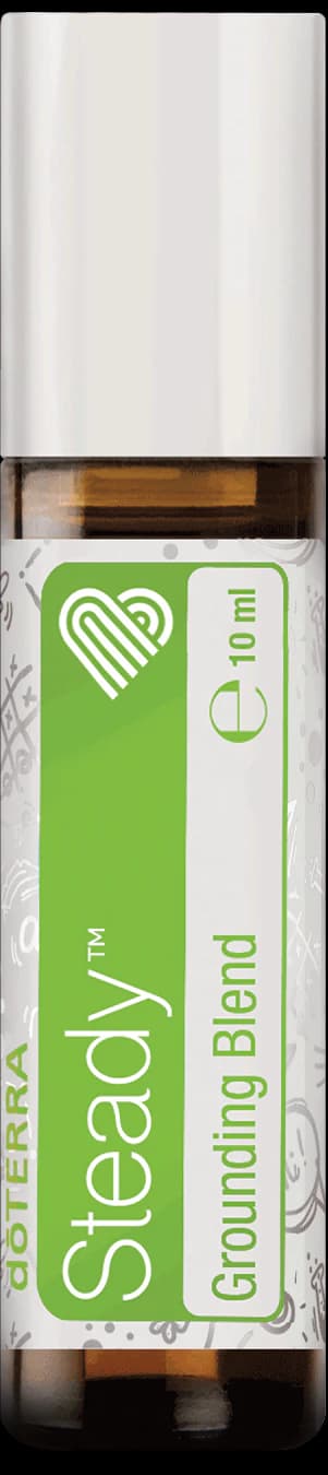 Steady, official product photo