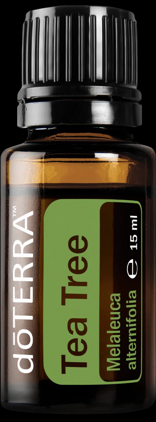 Tea Tree, official product photo