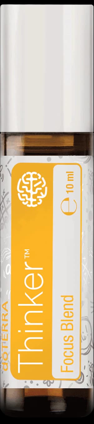 Thinker, official product photo