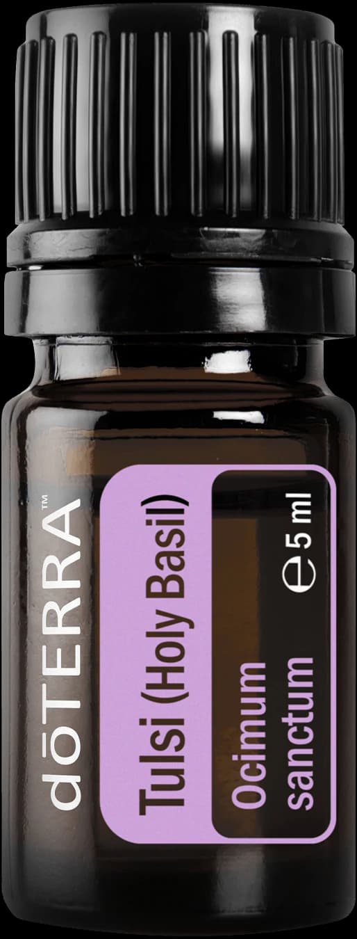 Tulsi, official product photo